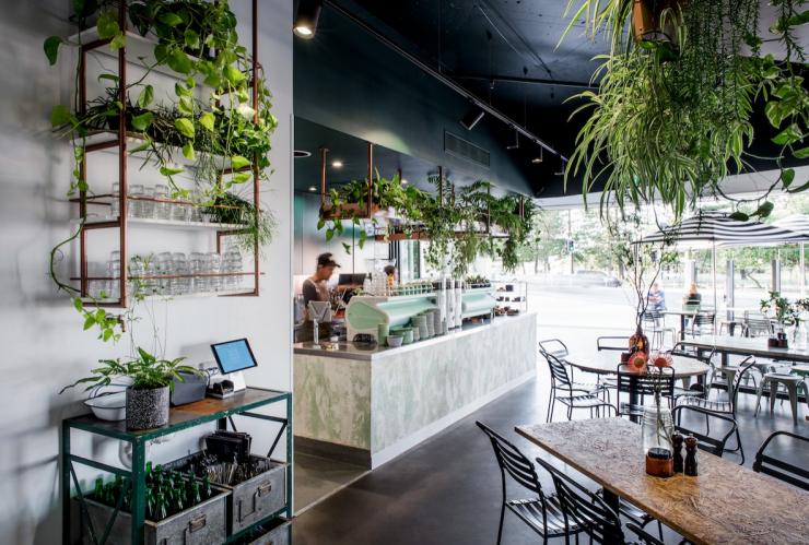 Elk Espresso, Broadbeach, Gold Coast, Queensland © Elk Espresso/ Cathy Schusler Elk Espresso, Broadbeach, Gold Coast, Queensland © Elk Espresso/ Cathy Schusler