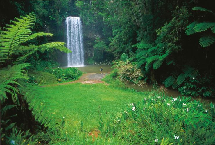 Woman admiring Millaa Millaa Falls in Millaa Millaa © Tourism and Events Queensland Woman admiring Millaa Millaa Falls in Millaa Millaa © Tourism and Events Queensland