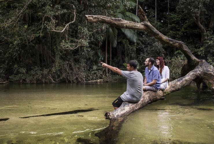 Walkabout Cultural Adventures, Mossman Gorge, QLD © James Fisher, Tourism Australia Walkabout Cultural Adventures, Mossman Gorge, QLD © James Fisher, Tourism Australia