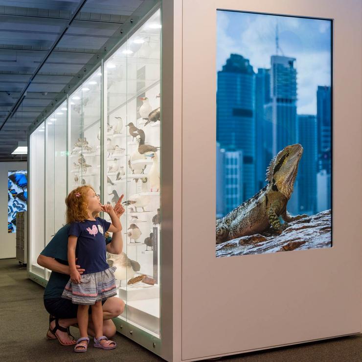 Kids and parents look at exhibits in the Discovery Centre at Queensland Museum, Brisbane, Queensland © Queensland Museum Network Kids and parents look at exhibits in the Discovery Centre at Queensland Museum, Brisbane, Queensland © Queensland Museum Network