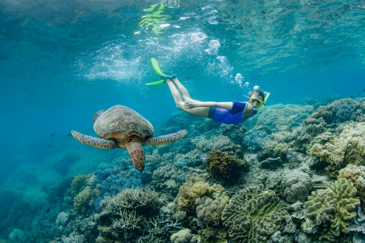 Girl snorkeling next to a turtle © Tourism and Events Queensland Girl snorkeling next to a turtle © Tourism and Events Queensland