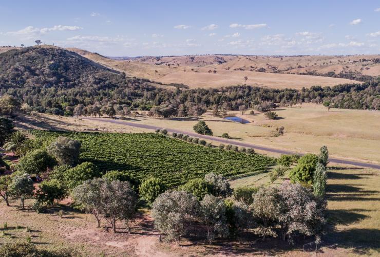 Aerial view of Collector Wines, Collector, New South Wales © Sammy Hawker, Collector Wines Aerial view of Collector Wines, Collector, New South Wales © Sammy Hawker, Collector Wines