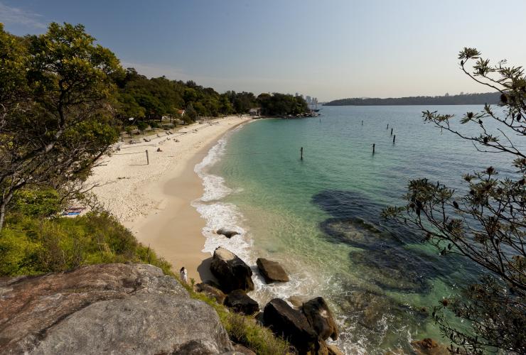 Shark Beach at Nielsen Park, Sydney © Andrew Gregory / Destination NSW Shark Beach at Nielsen Park, Sydney © Andrew Gregory / Destination NSW