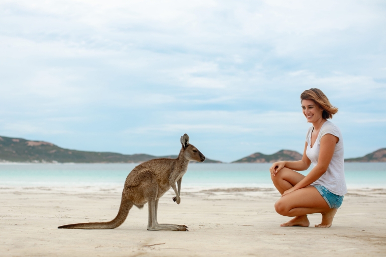 Woman admires a kangaroo on a white sand beach at Lucky Bay, Esperance, Western Australia © Tourism Australia