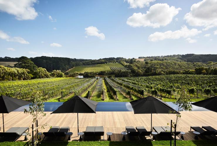 A rolling green vineyard with grapevines at Jackalope Hotel on the Mornington Peninsula, Victoria © Jackalope Hotel A rolling green vineyard with grapevines at Jackalope Hotel on the Mornington Peninsula, Victoria © Jackalope Hotel