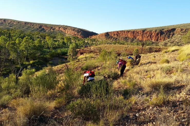 Larapinta Trail, Tjoritja/West MacDonnell National Park, NT © Trek Larapinta