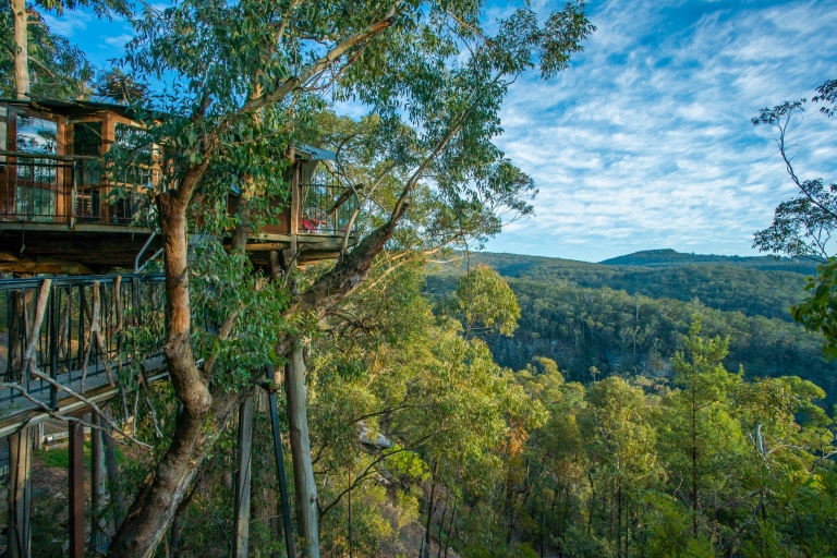 Wollemi Forest, Blue Mountains, NSW © Wollemi Cabins Wollemi Forest, Blue Mountains, NSW © Wollemi Cabins