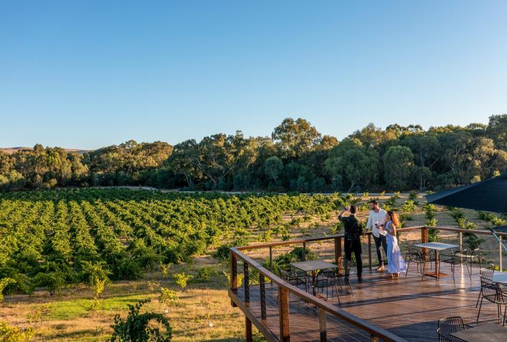 A group admiring the green vineyards at St Hugo, Barossa, South Australia © Tourism Australia A group admiring the green vineyards at St Hugo, Barossa, South Australia © Tourism Australia
