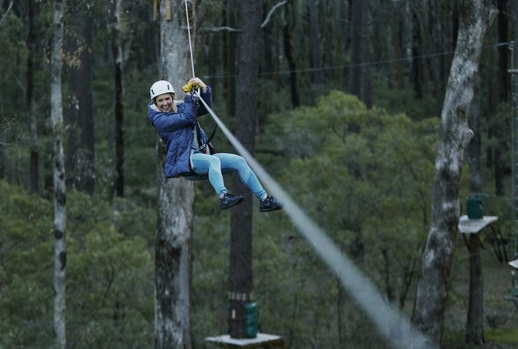 Forest Adventures, Margaret River region, WA © Tim Campbell Forest Adventures, Margaret River region, WA © Tim Campbell