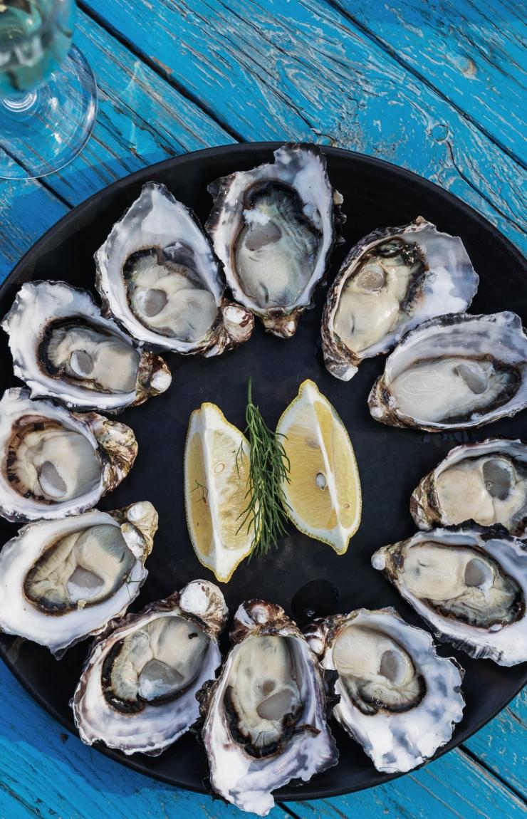 Aerial view over a plate of oysters spread out in a circle with lemon wedges in the centre on a blue table with Get Shucked, Bruny Island, Tasmania © Adam Gibson/Tourism Tasmania Aerial view over a plate of oysters spread out in a circle with lemon wedges in the centre on a blue table with Get Shucked, Bruny Island, Tasmania © Adam Gibson/Tourism Tasmania