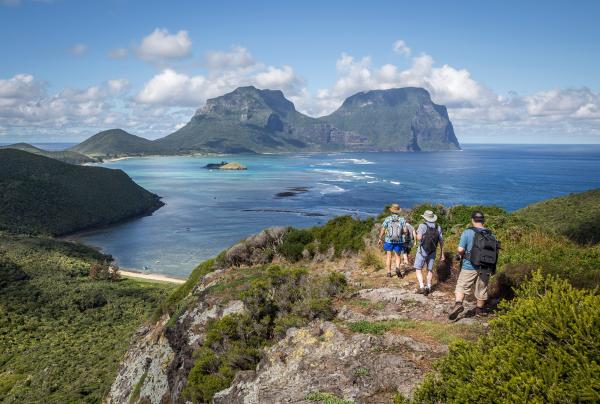 Seven Peaks Walk by Pinetrees, Lord Howe Island, NSW © Luke Hanson