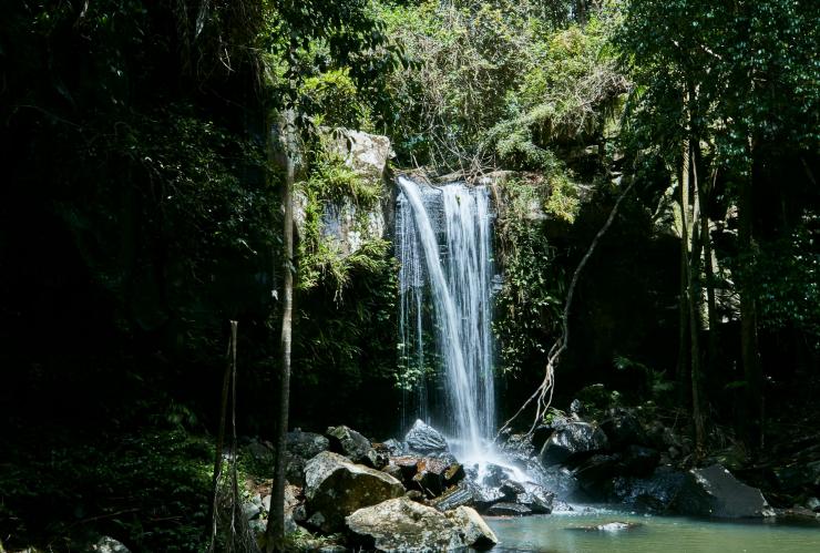 Curtis Falls, Tamborine Mountain, QLD © Tourism and Events Queensland Curtis Falls, Tamborine Mountain, QLD © Tourism and Events Queensland