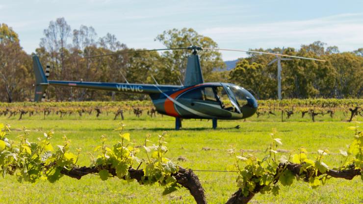 Grampians Helicopter Tours at Best’s Wines, Grampians Region, VIC © Justine Hide Grampians Helicopter Tours at Best’s Wines, Grampians Region, VIC © Justine Hide