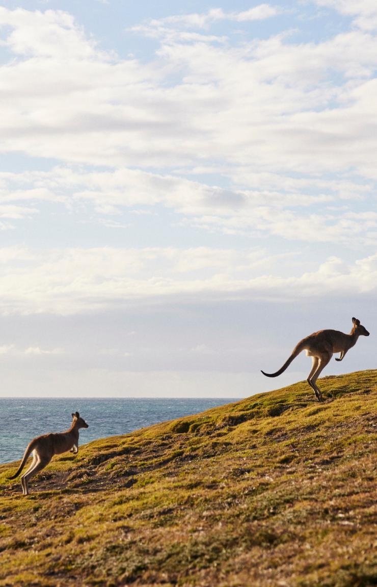 Emerald Beach, Coffs Harbour, New South Wales © Destination NSW  Emerald Beach, Coffs Harbour, New South Wales © Destination NSW
