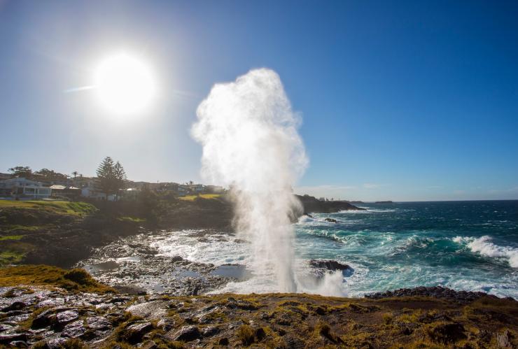 Kiama Blowhole, Kiama, NSW © Destination NSW Kiama Blowhole, Kiama, NSW © Destination NSW