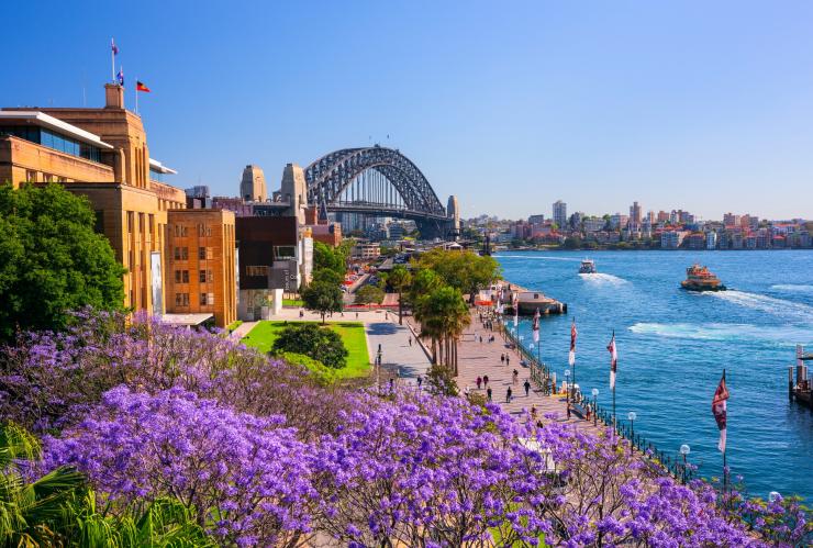 Jacarandas, Sydney Harbour, Sydney, NSW © Destination NSW Jacarandas, Sydney Harbour, Sydney, NSW © Destination NSW