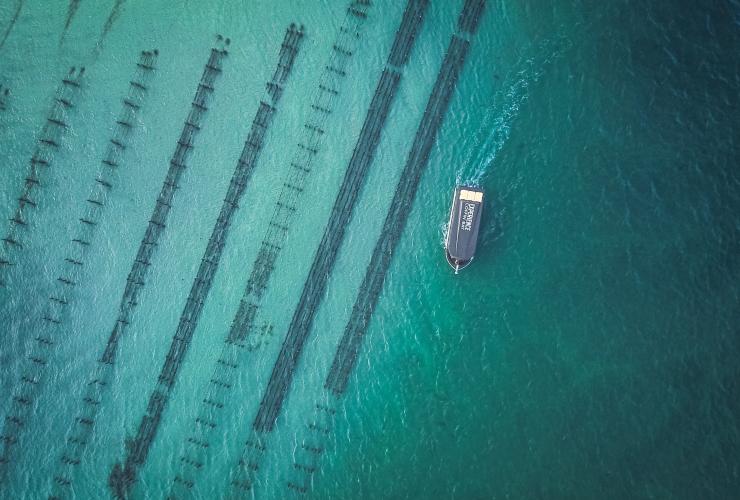 Experience Coffin Bay, Eyre Peninsula, SA © City of Port Lincoln/ Kinship Productions Experience Coffin Bay, Eyre Peninsula, SA © City of Port Lincoln/ Kinship Productions