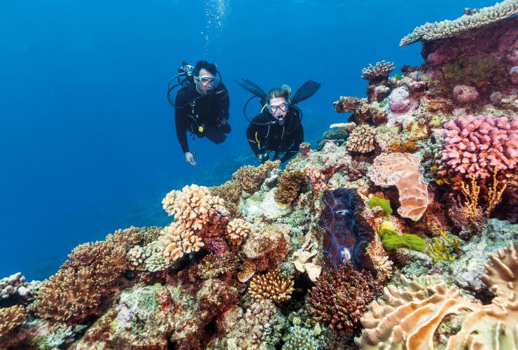 Scuba diving at Agincourt Reef, Tropical North Queensland © Tourism and Events Queensland Scuba diving at Agincourt Reef, Tropical North Queensland © Tourism and Events Queensland