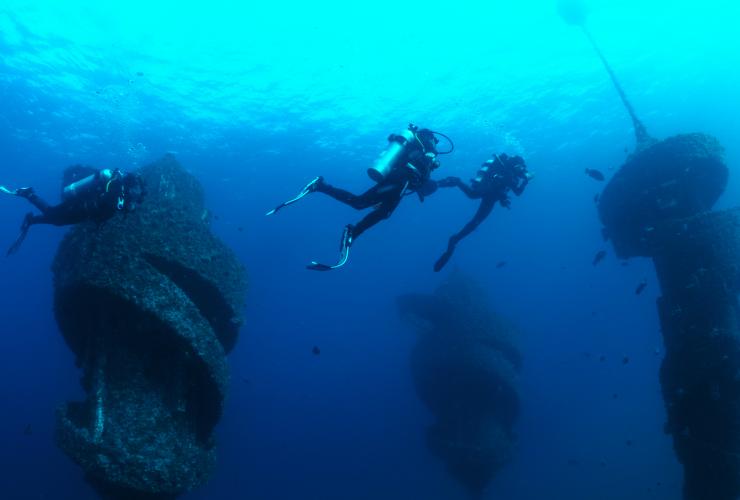 Divers at Wonder Reef © City of Gold Coast Divers at Wonder Reef © City of Gold Coast