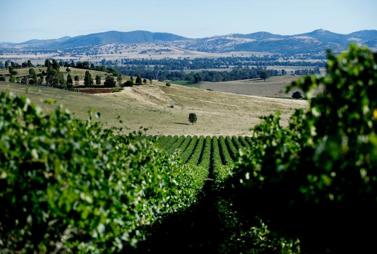 Eden Road Wines Murrumbateman, New South Wales © Eden Road Wines Eden Road Wines Murrumbateman, New South Wales © Eden Road Wines