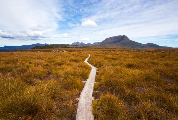 Cradle Mountain Huts Overland Track Walk, Mount Pelion West, Cradle Mountain-Lake St Clair National Park, TAS © Tasmanian Walking Company, Great Walks of Australia Cradle Mountain Huts Overland Track Walk, Mount Pelion West, Cradle Mountain-Lake St Clair National Park, TAS © Tasmanian Walking Company, Great Walks of Australia