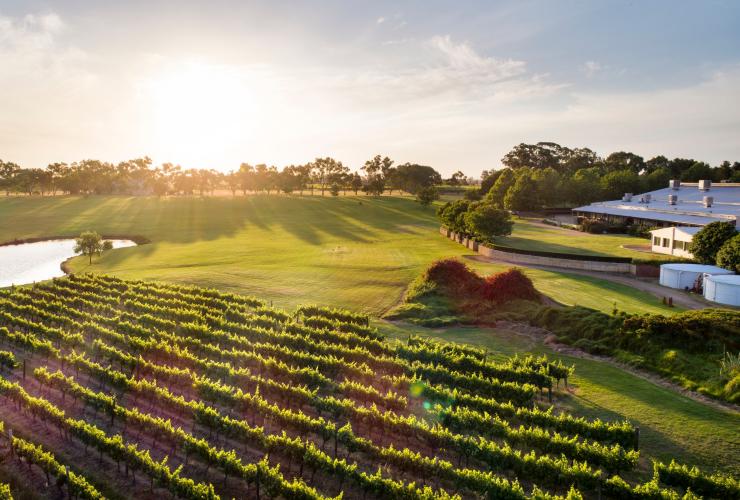Sandalford Winery in the Swan Valley © Joel Barbitta DMAX Photography Sandalford Winery in the Swan Valley © Joel Barbitta DMAX Photography