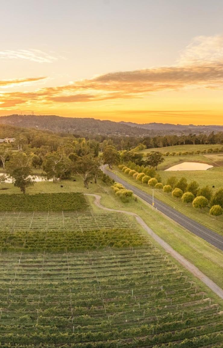 Centennial Vineyards, Bowral, Southern Highlands, NSW © Destination NSW Centennial Vineyards, Bowral, Southern Highlands, NSW © Destination NSW