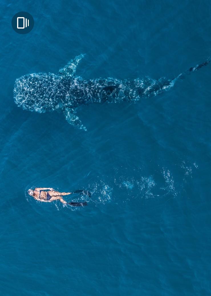 Ningaloo Reef, Coral Coast, Western Australia © Tourism Western Australia Ningaloo Reef, Coral Coast, Western Australia © Tourism Western Australia