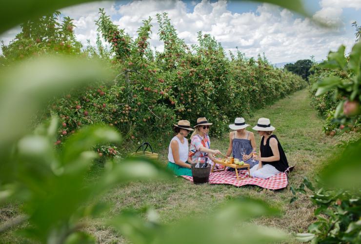 Picnic at Printhie Wines in Orange © Printhie Wines Picnic at Printhie Wines in Orange © Printhie Wines