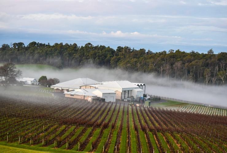 House of Arras, Tamar Valley, TAS © House of Arras House of Arras, Tamar Valley, TAS © House of Arras