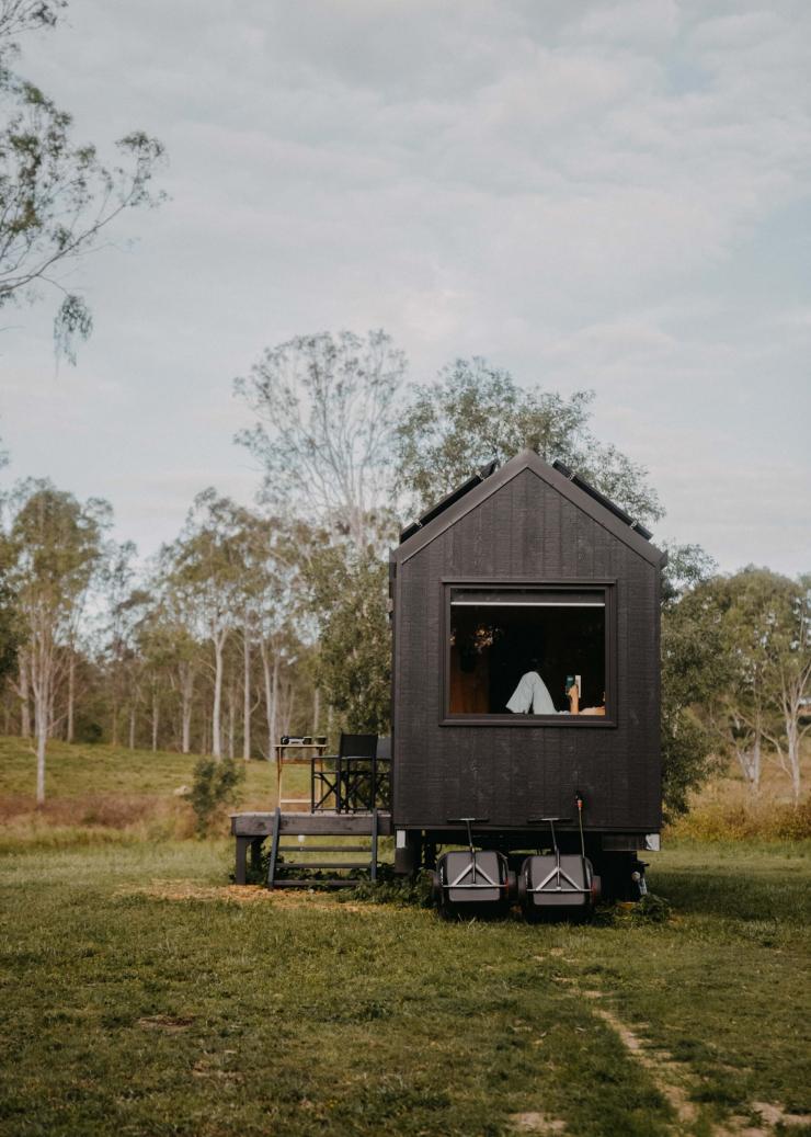 Unyoked, Flinders Lakes, Queensland © @ttylanistokes Unyoked, Flinders Lakes, Queensland © @ttylanistokes