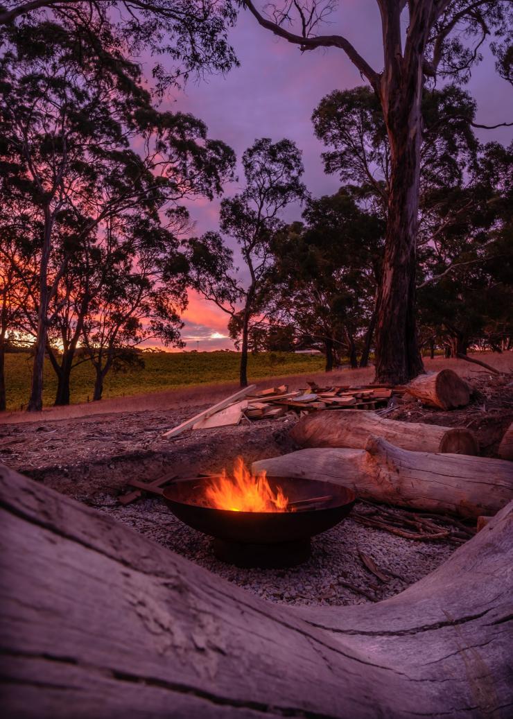 CABN Kuitpo - Matilda, Fleurieu Peninsula, South Australia © CABN / Isaac Freeman CABN Kuitpo - Matilda, Fleurieu Peninsula, South Australia © CABN / Isaac Freeman