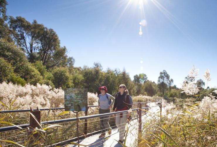 Two visitors walking through Tidbinbilla Nature Reserve in Canberra © VisitCanberra Two visitors walking through Tidbinbilla Nature Reserve in Canberra © VisitCanberra