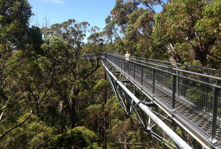 Valley of the Giants Tree Top Walk, Walpole-Nornalup National Park, WA © Tourism Australia Valley of the Giants Tree Top Walk, Walpole-Nornalup National Park, WA © Tourism Australia