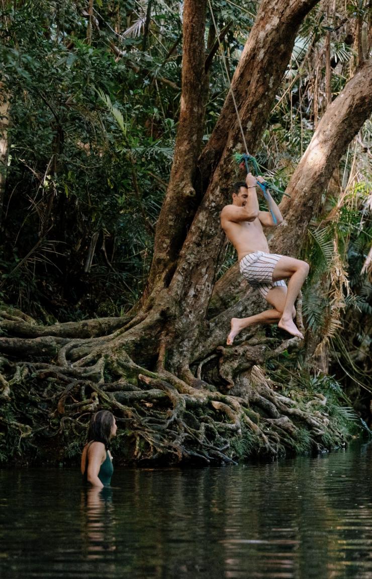 Cape Tribulation, Tropical North Queensland, QLD © Tourism Australia Cape Tribulation, Tropical North Queensland, QLD © Tourism Australia