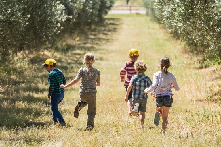 Silverdale Olive Orchard, Coral Coast, Australie Occidentale © Australia's Coral Coast Silverdale Olive Orchard, Coral Coast, Australie Occidentale © Australia's Coral Coast