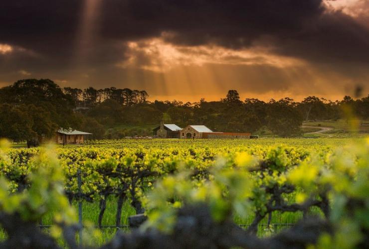 Rayons de soleil au travers de nuages sombres au-dessus du domaine viticole de St Hugo dans la Barossa Valley, Adélaïde, Australie du Sud © St Hugo Rayons de soleil au travers de nuages sombres au-dessus du domaine viticole de St Hugo dans la Barossa Valley, Adélaïde, Australie du Sud © St Hugo