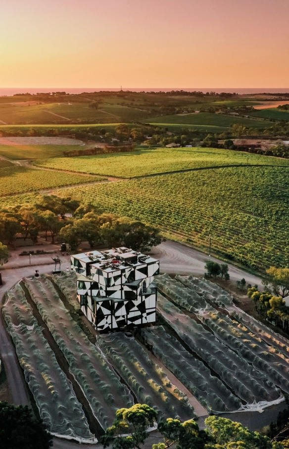Domaine viticole d'Arenberg, McLaren Vale, Australie du Sud © Trent Martin Photography