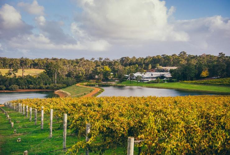 Aravina Estate, Margaret River, WA © Aravina Estate Aravina Estate, Margaret River, WA © Aravina Estate