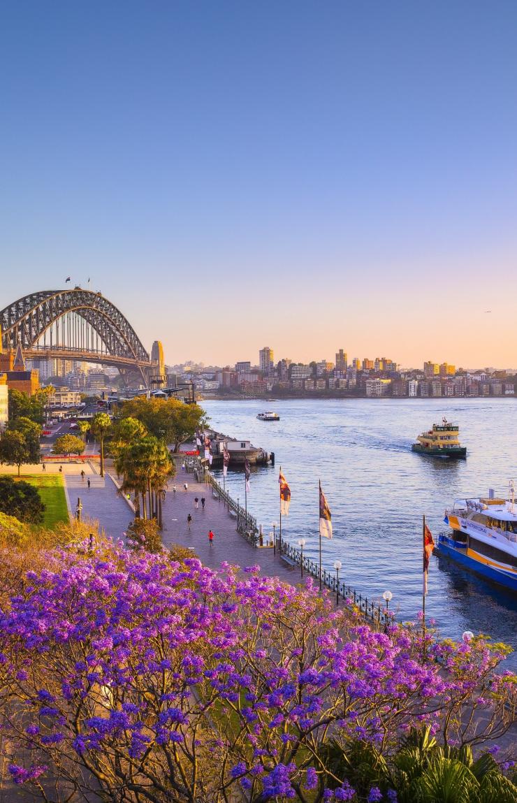 Jacarandas et Baie de Sydney au coucher du soleil, Sydney, NSW © Destination NSW Jacarandas et Baie de Sydney au coucher du soleil, Sydney, NSW © Destination NSW