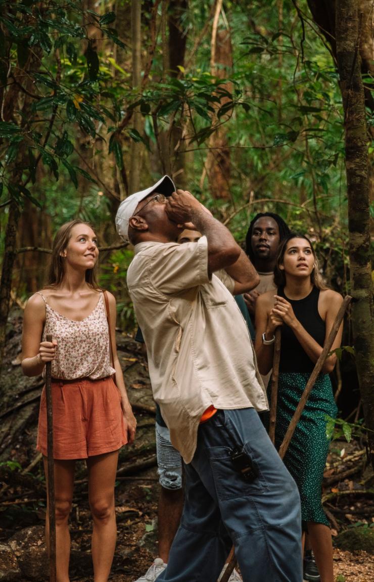 Mossman Gorge Centre, Daintree, Queensland © Tourism and Events Queensland