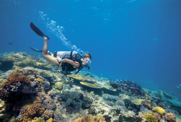 Lizard Island, Grande Barrière de Corail, QLD © Delaware North Companies