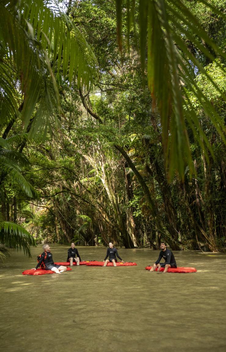Expérience River Drift Snorkelling avec Back Country Bliss Adventures, forêt tropicale de Daintree, Queensland © Tourism and Events Queensland