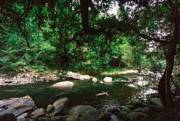 Femme se baignant dans une piscine de bord de mer dans les Gorges de Mossman, au sein du Daintree National Park, dans le Queensland © Tourism Tropical North Queensland