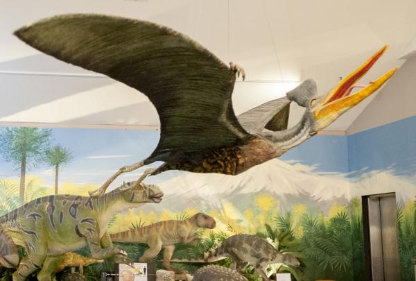National Dinosaur Museum, Canberra, ACT © VisitCanberra