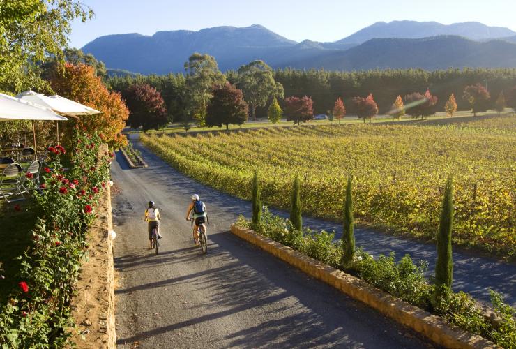 Cyclisme le long des vignes du domaine viticole de Boyntons Feathertop © Victorian Wine Industry Association Cyclisme le long des vignes du domaine viticole de Boyntons Feathertop © Victorian Wine Industry Association