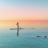 Monkey Mia, réserve de Shark Bay inscrite au patrimoine mondial, WA © Tourism Western Australia
