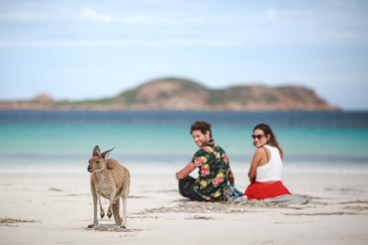 Un couple admirant un kangourou sur la plage de Lucky Bay, Cape Le Grand National Park, Australie Occidentale © Tourism Australia