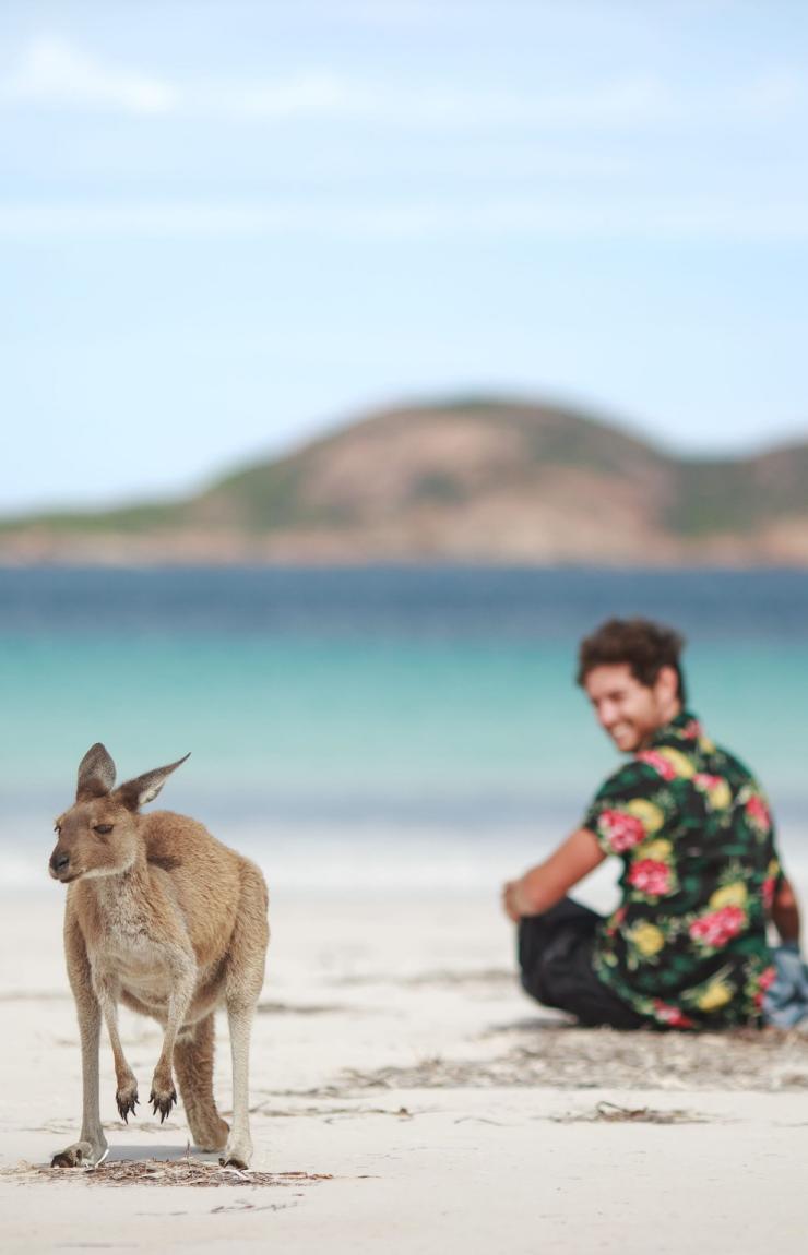Un couple admirant un kangourou sur la plage de Lucky Bay, Cape Le Grand National Park, Australie Occidentale © Tourism Australia Un couple admirant un kangourou sur la plage de Lucky Bay, Cape Le Grand National Park, Australie Occidentale © Tourism Australia