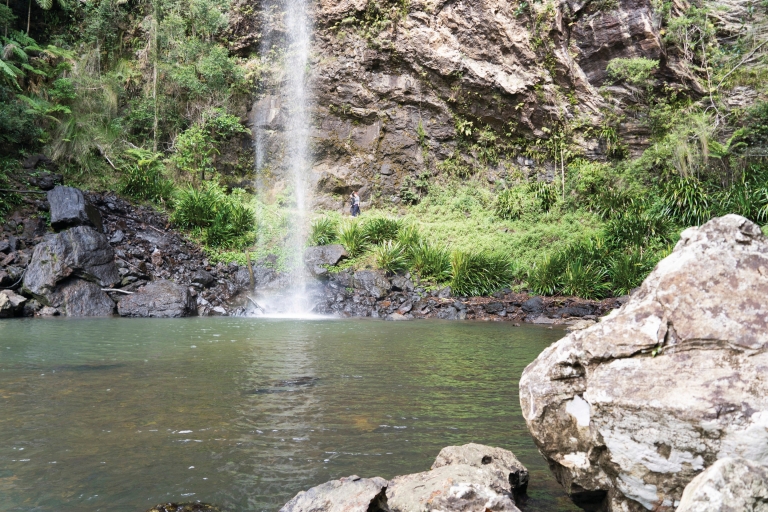 Twin Falls, Springbrook National Park, Queensland © Michael Taylor-Thomas Twin Falls, Springbrook National Park, Queensland © Michael Taylor-Thomas